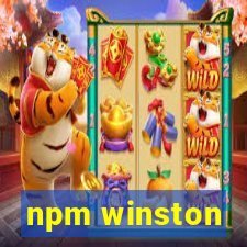 npm winston